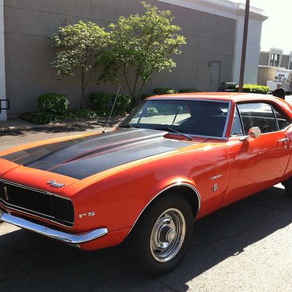 Meet your Posher, Shawn - Picture 1 of 1